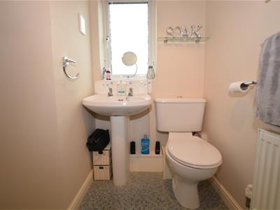 Picture 14